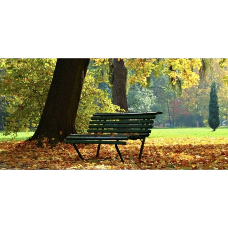 Essence of the Park EDP 100 ml Essence of the Park EDP 100 ml