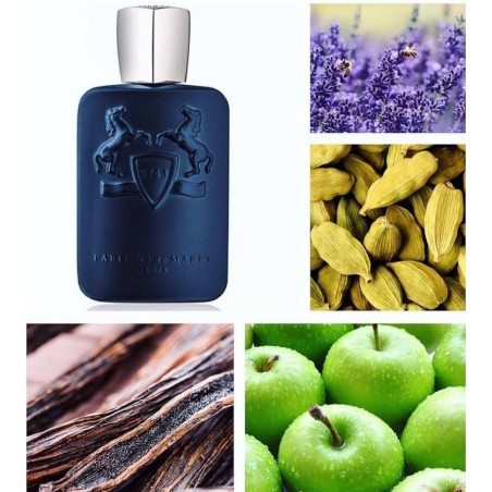 Layton EDP 125 ml