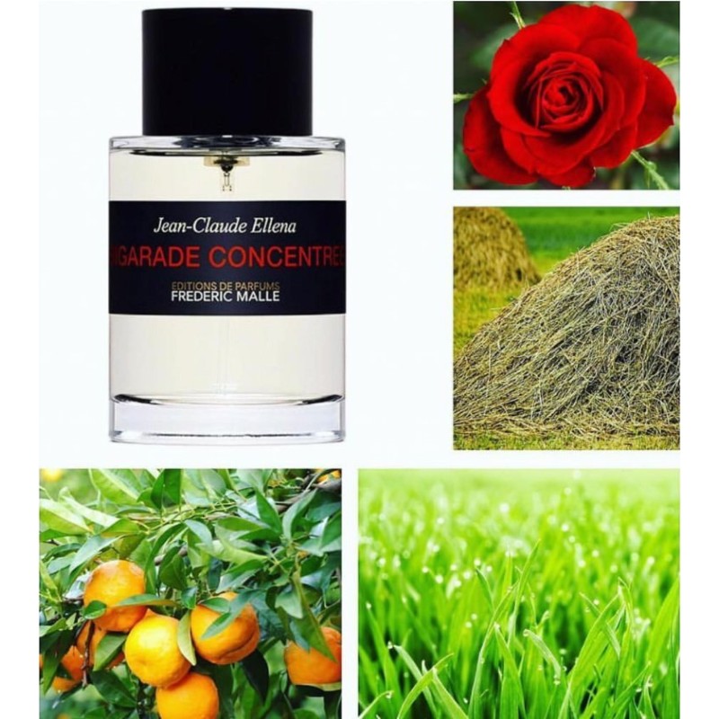 Bigarade Concentree Eau de Parfum 100ml