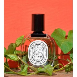 Eau Lierre Edt 100 ml Eau Lierre Edt 100 ml