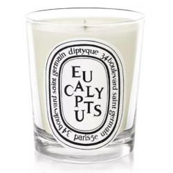 Eucalyptus Candela 190 gr