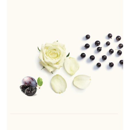 Black IV EDP 50 ml