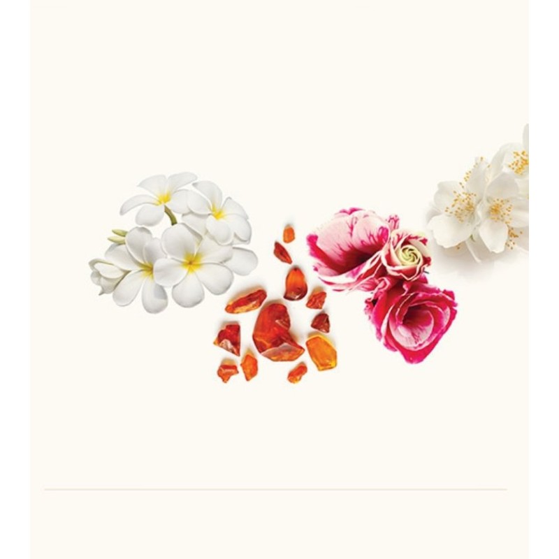 Delma EDP 50 ml Delma EDP 50 ml