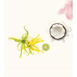 Hili EDP 50 ml