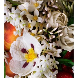 Jasmine & Sun Rose Body Wash 300 ml