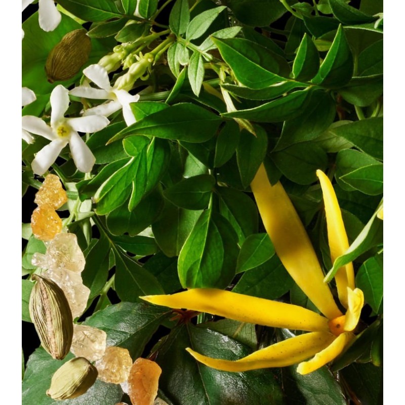 Relaxing Ylang Ylang Body Wash 300 ml Relaxing Ylang Ylang Body Wash 300 ml