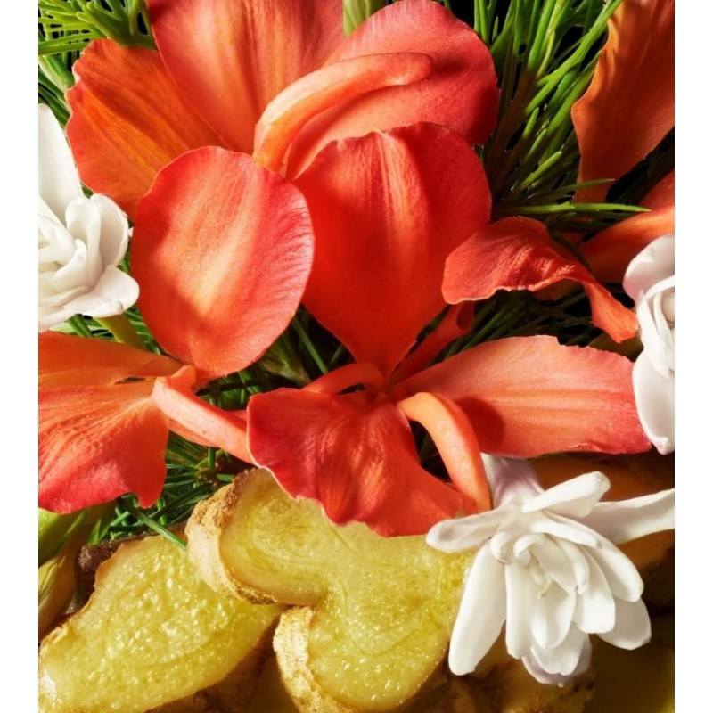 Heavenly Gingerlily EDP 100 ml Heavenly Gingerlily EDP 100 ml