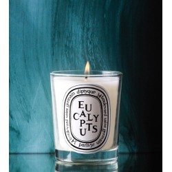 Eucalyptus Candela 190 gr