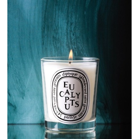 Eucalyptus Candela 190 gr