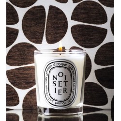 Noisetier Candela 190 gr