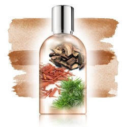 Vanille Cafè Comptoir sud Pacifique Vanille Cafè Comptoir sud Pacifique